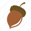 acorn, cobnut, hazelnut, nut, oak nut 