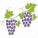 bunch, fruit, grapes, wine