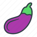 eggplant, vegetable, vegetarian, fruit 
