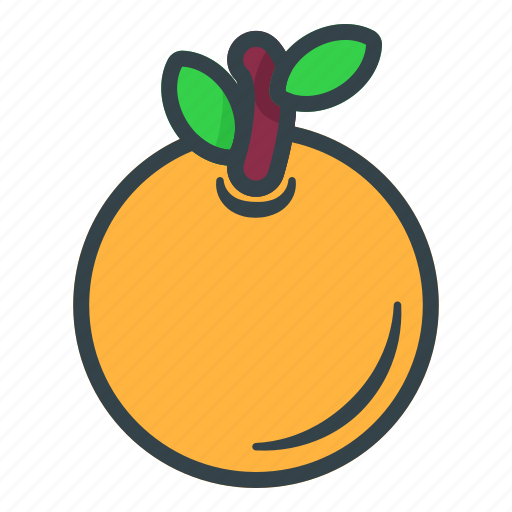 Orange, fruit, food, vegetable icon - Download on Iconfinder