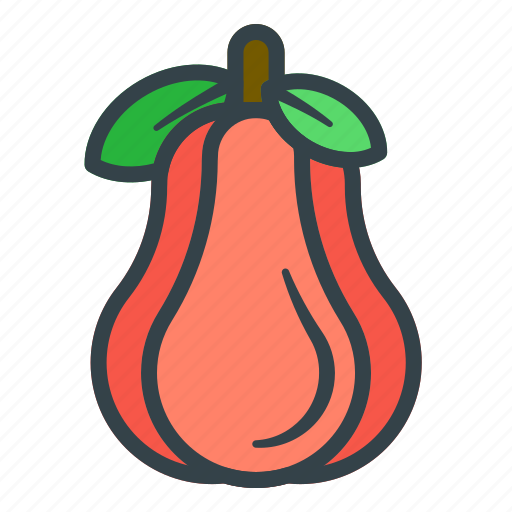 Rose apple, guava, fruit icon - Download on Iconfinder