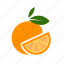 citrus, food, fruit, grapefruit, plant 