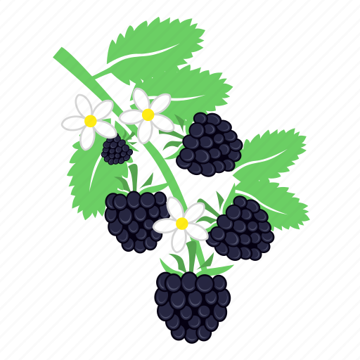 Blackberry, food, fruits icon - Download on Iconfinder