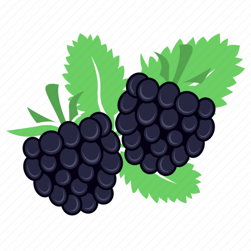 Berry, blackberry, food, fruit icon - Download on Iconfinder