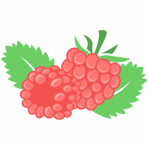Food, fresh, fruit, raspberries, raspberry icon - Download on Iconfinder