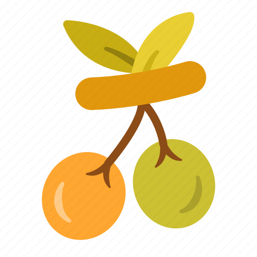 Olive, oil, vegetable, fruit icon - Download on Iconfinder
