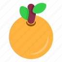 orange, fruit, tropical, vegetable