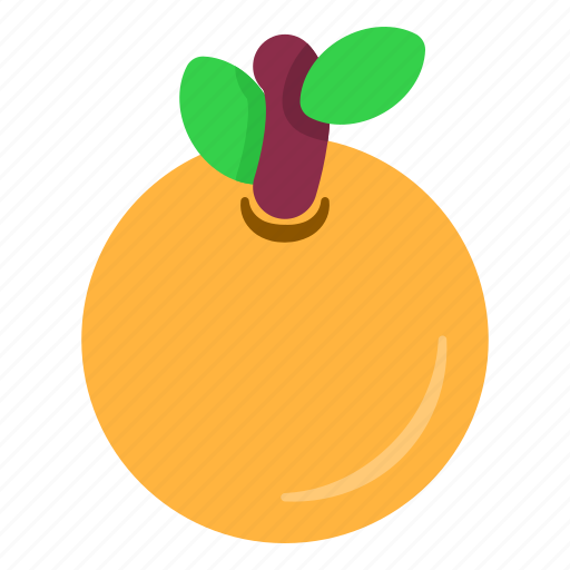 Orange, fruit, tropical, vegetable icon - Download on Iconfinder
