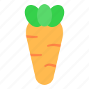 carrot, vegetable, healthy, fruit, fresh