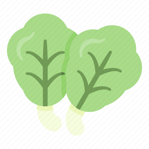 Salad, leaf, vegetable, plant icon - Download on Iconfinder