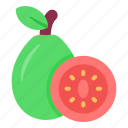 guava, rose apple, fruit 
