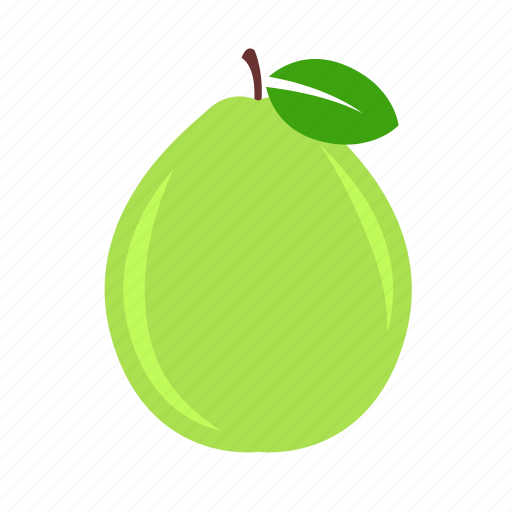 Food, fruit, guava, plant, seed icon - Download on Iconfinder