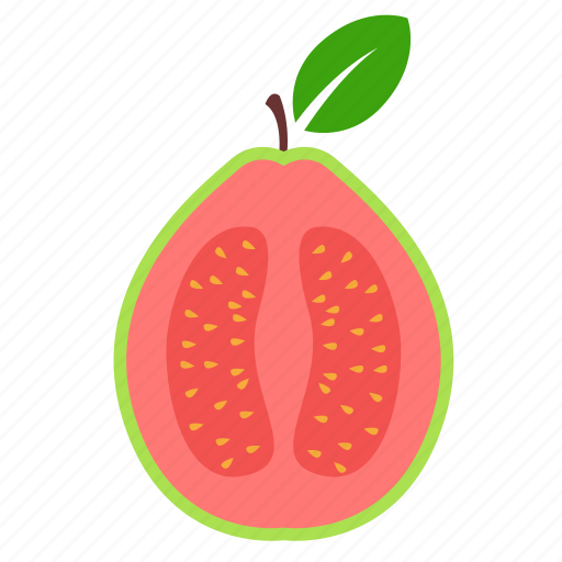 Food, fruit, guava, half guava, tropical fruit icon - Download on Iconfinder