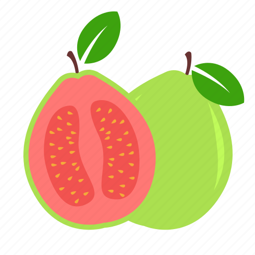 Day, fruit, guava, megan icon - Download on Iconfinder