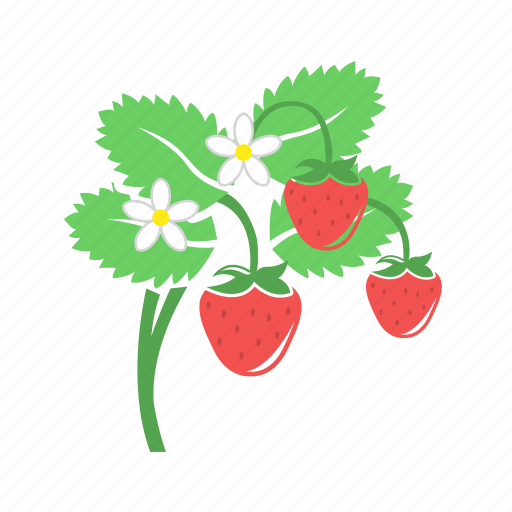 Food, fruit, strawberries, strawberry icon - Download on Iconfinder