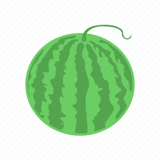 Fruit, summer, watermelon icon - Download on Iconfinder
