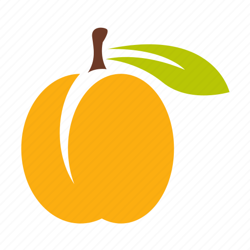 Apricot, food, fruit icon - Download on Iconfinder