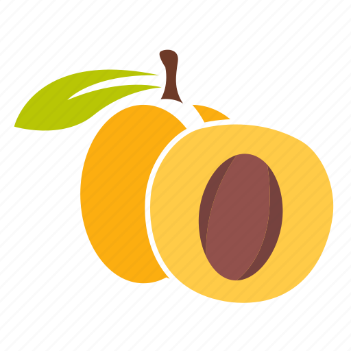 Apricot, food, fresh, fruit icon - Download on Iconfinder