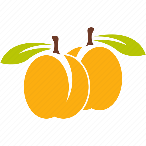 Apricot, food, fruit, peach icon - Download on Iconfinder