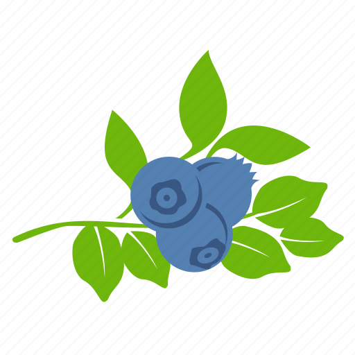 Blueberries, blueberry icon - Download on Iconfinder