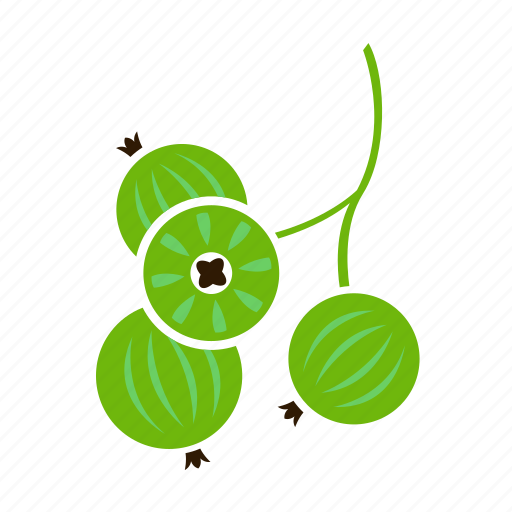 Fruit, gooseberry icon - Download on Iconfinder