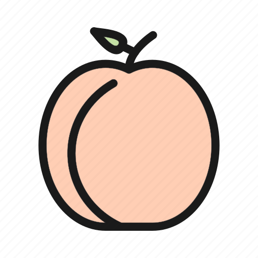 Food, fruit, peach, vegetable icon - Download on Iconfinder