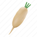 turnip 