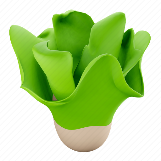 Lettuce 3D illustration - Download on Iconfinder