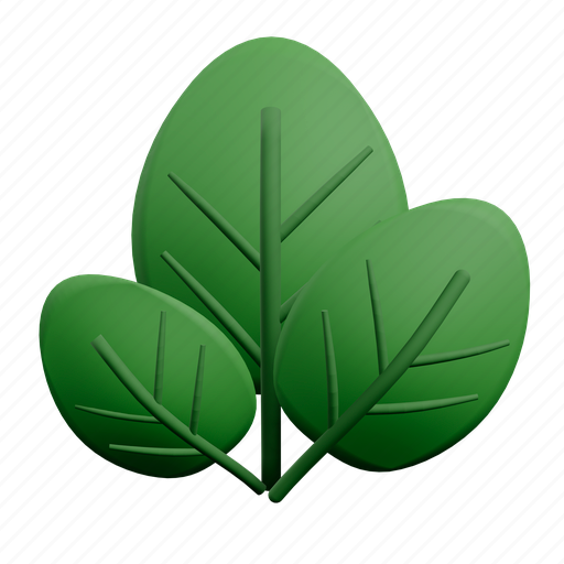 Spinach 3D illustration - Download on Iconfinder