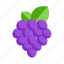 grapes, bunch of grapes, berry, food, fruit, bunch, purple grape 