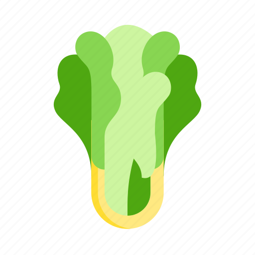 Lettuce, greens, leaf, vegetable, plant, salad, food icon - Download on Iconfinder