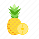 pineapple, fruit, tropical, ananas, food, slice