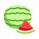 watermelon, fruit, exotic, tropical, slice, food