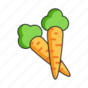 carrot, carrots, veggie, vegetable, agriculture, food