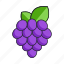 grapes, prage, fruit, purple grapes, food, bunch of grapes 