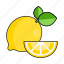 lemon, slice, citrus, fruit, food 