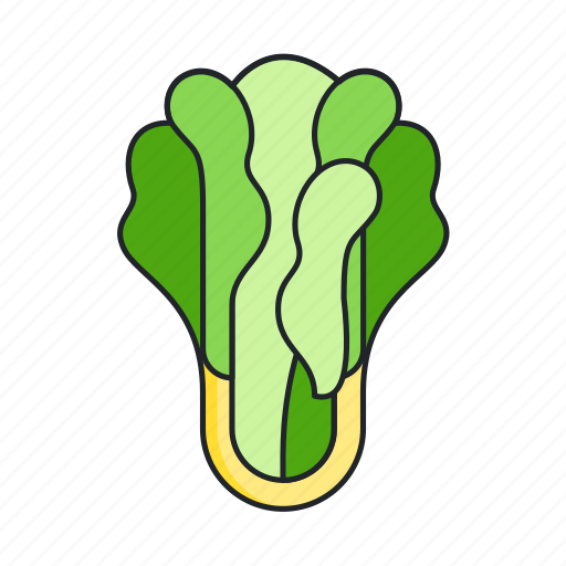 Lettuce, leaf, salad, plant, vegetable, veggie, food icon - Download on Iconfinder