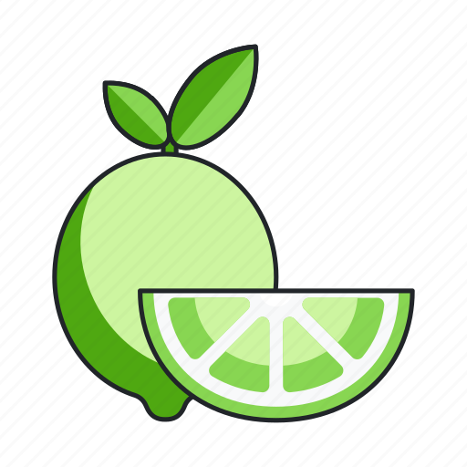 Lime, slice, citrus, food, fruit icon - Download on Iconfinder