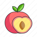 peach, nectarine, fruit, food, slice