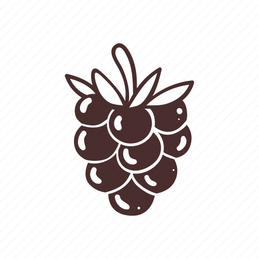 Raspberry, food, fruit, vegan, vegetarian, fresh, healthy icon - Download on Iconfinder