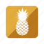 fruit, fruta, pineapple, piña 
