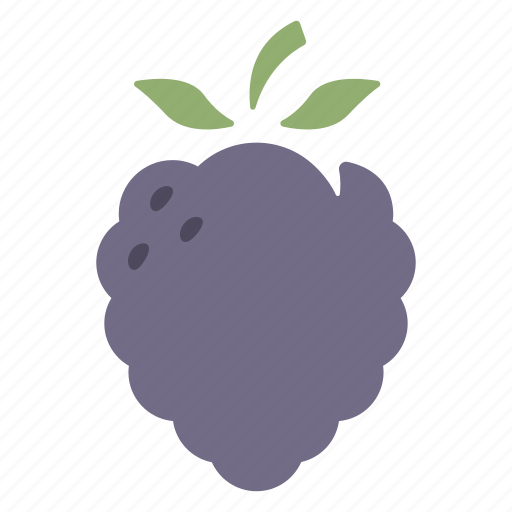 Berry, blackberry, blueberry, fresh, fruit, organic, raspberry icon - Download on Iconfinder