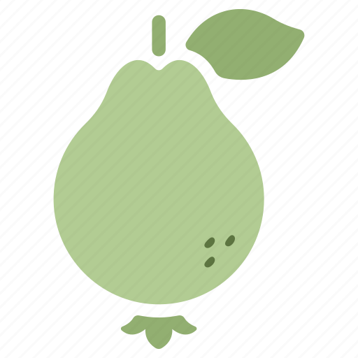 Food, fresh, fruit, guava, healthy, organic, tropical icon - Download on Iconfinder
