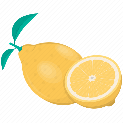 Citrus, food, fruit, lemon, plant, kitchen, meal icon - Download on Iconfinder