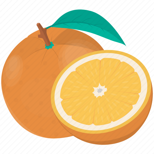 Citrus, food, fruit, orange, plant, kitchen, meal icon - Download on Iconfinder