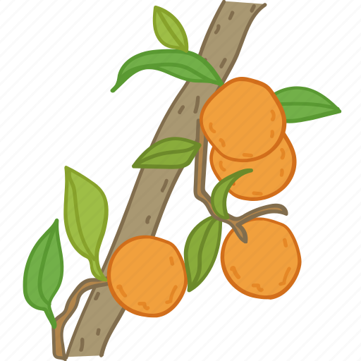 Flavor, fruit, juice, oj, orange, oranges icon - Download on Iconfinder