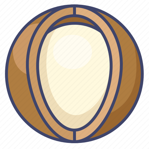 Food, macadamia, nut, oil icon - Download on Iconfinder