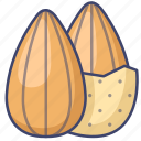 almond, food, nut, oil