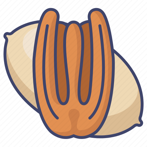Food, nut, oil, pecan icon - Download on Iconfinder