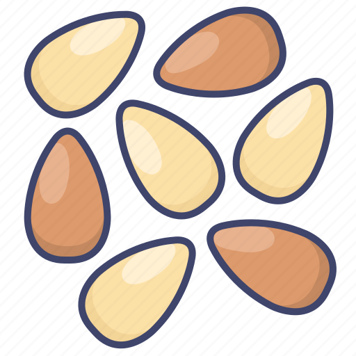 Food, nut, oil, pine icon - Download on Iconfinder